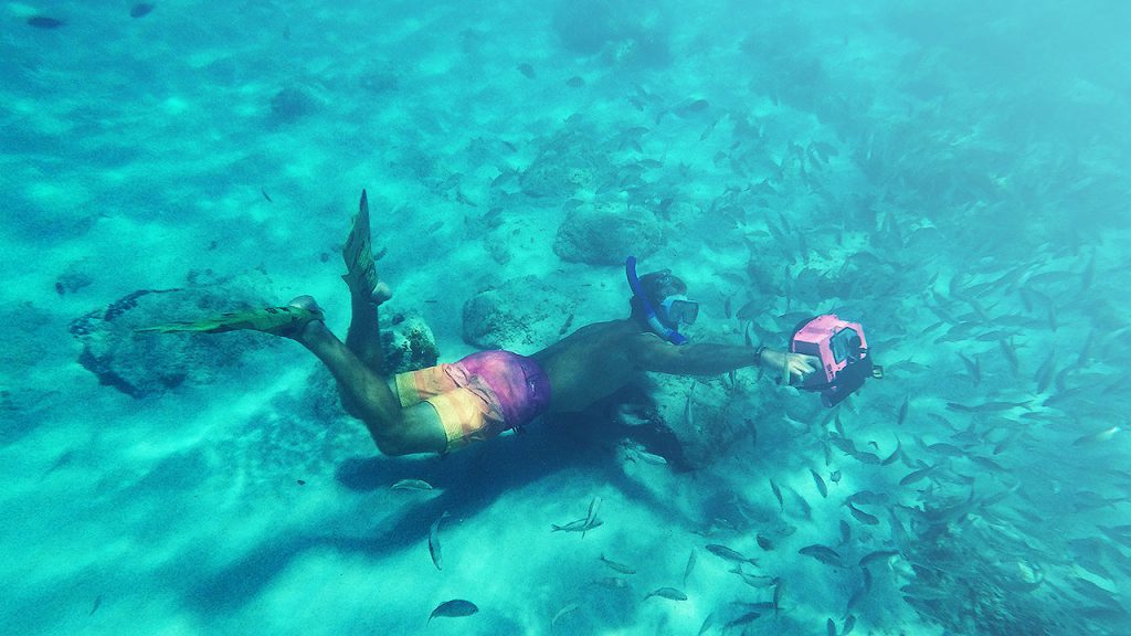 Enjoy an unforgettable vacation and the best Aruba scuba diving with @shangerdanger.